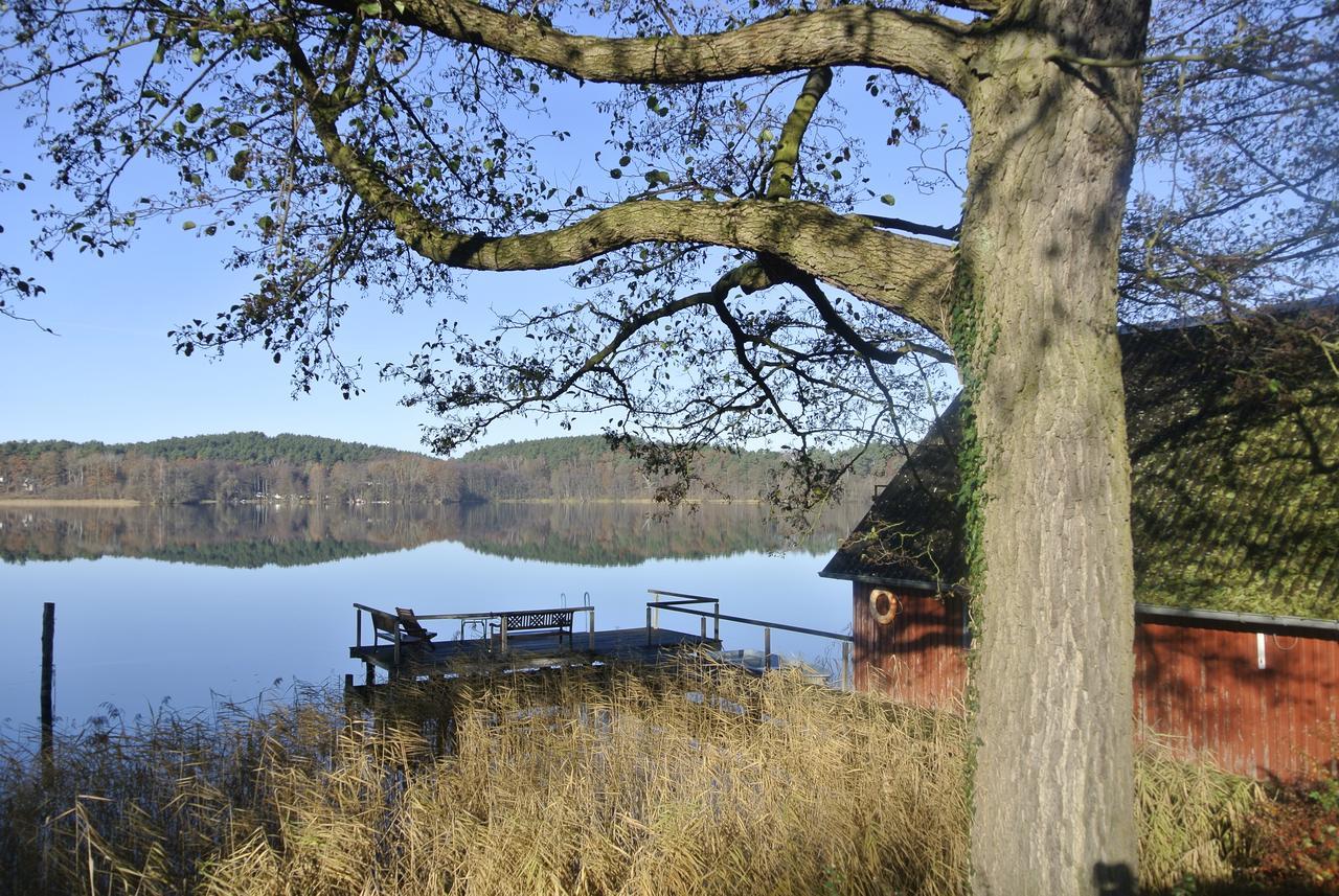Seehotel Lindenhof Лихен Экстерьер фото